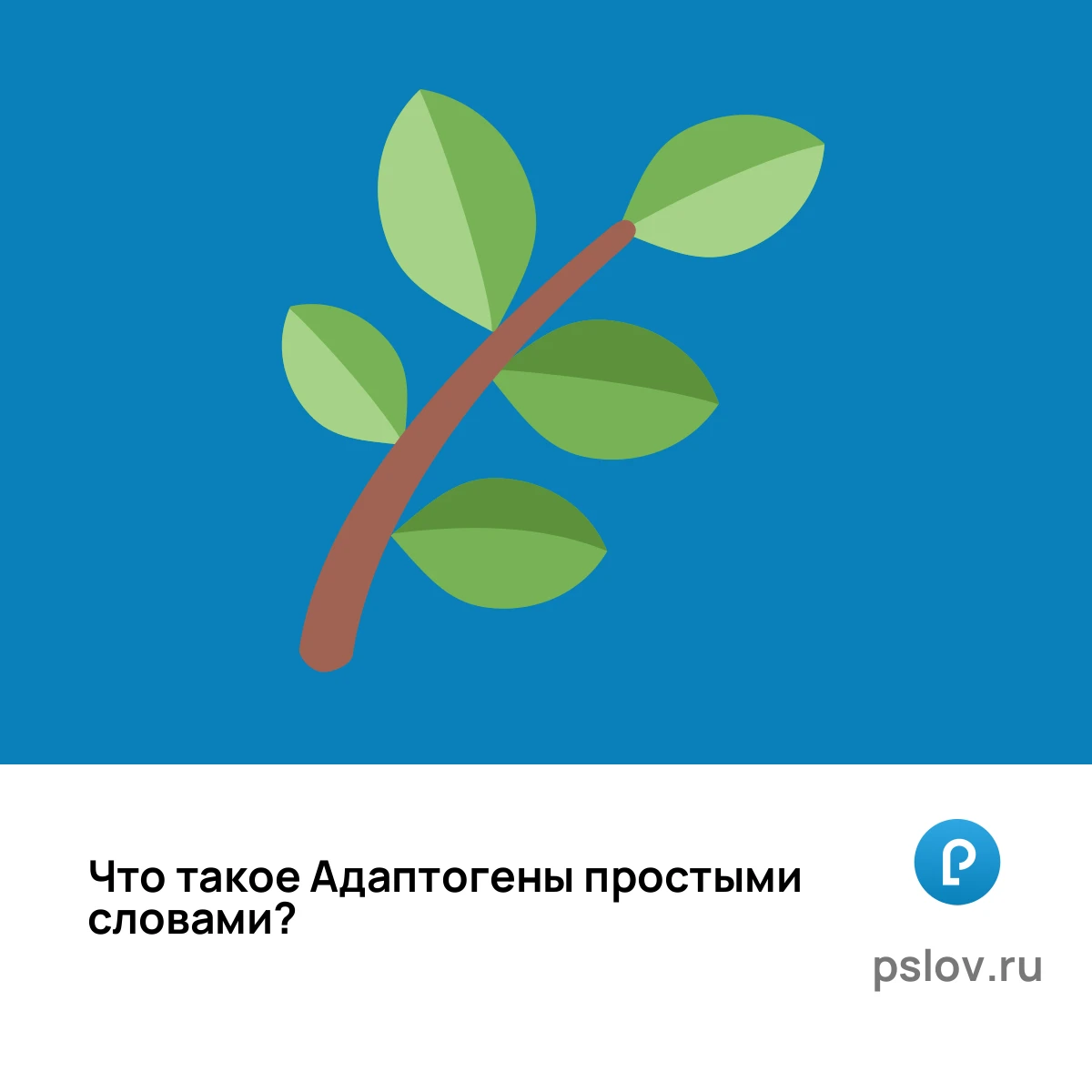 Что такое Адаптогены простыми словами - визуальное объяснение