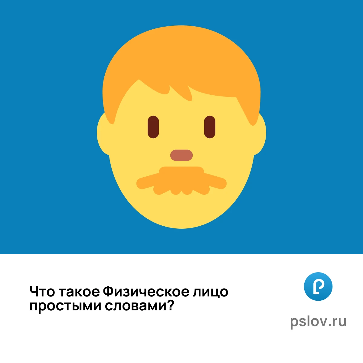 Что такое Физическое лицо простыми словами - визуальное объяснение