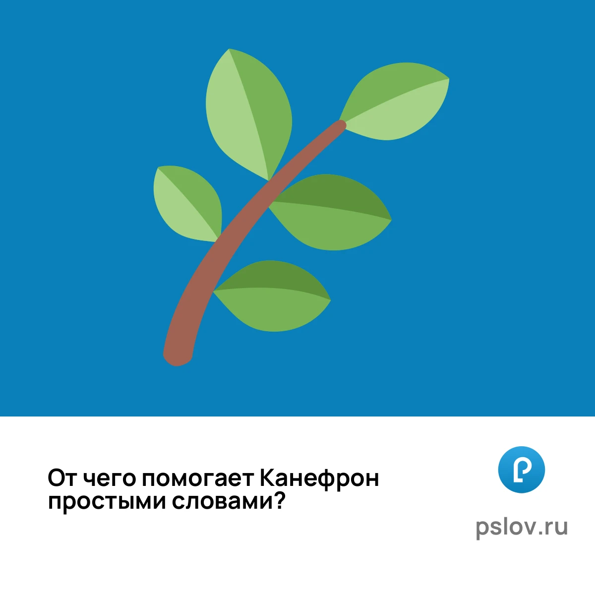 От чего помогает Канефрон простыми словами - визуальное объяснение