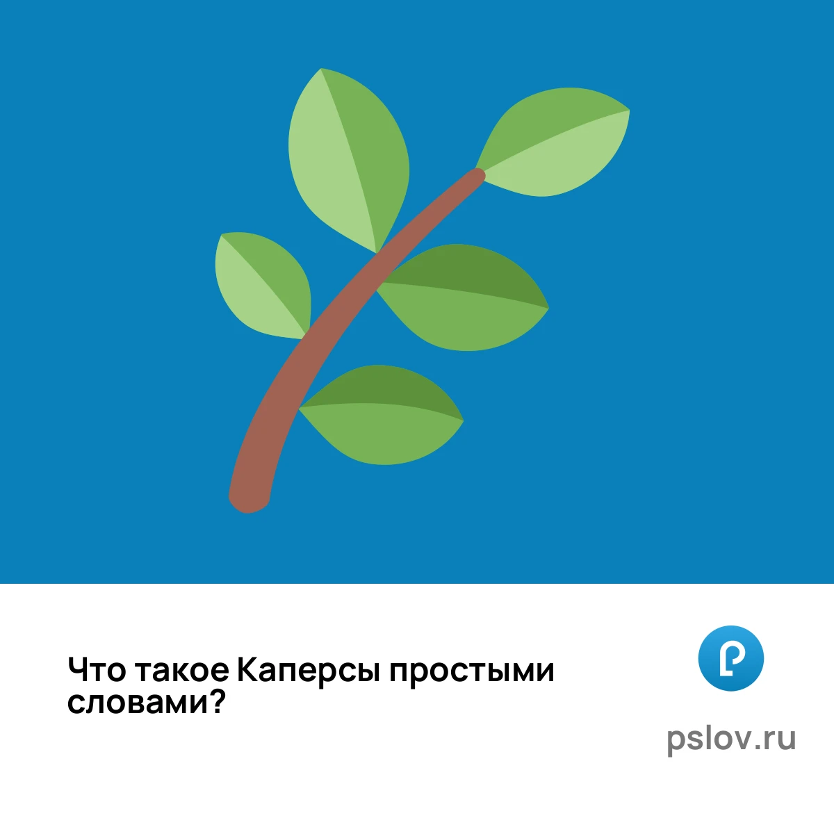 Что такое Каперсы простыми словами - визуальное объяснение