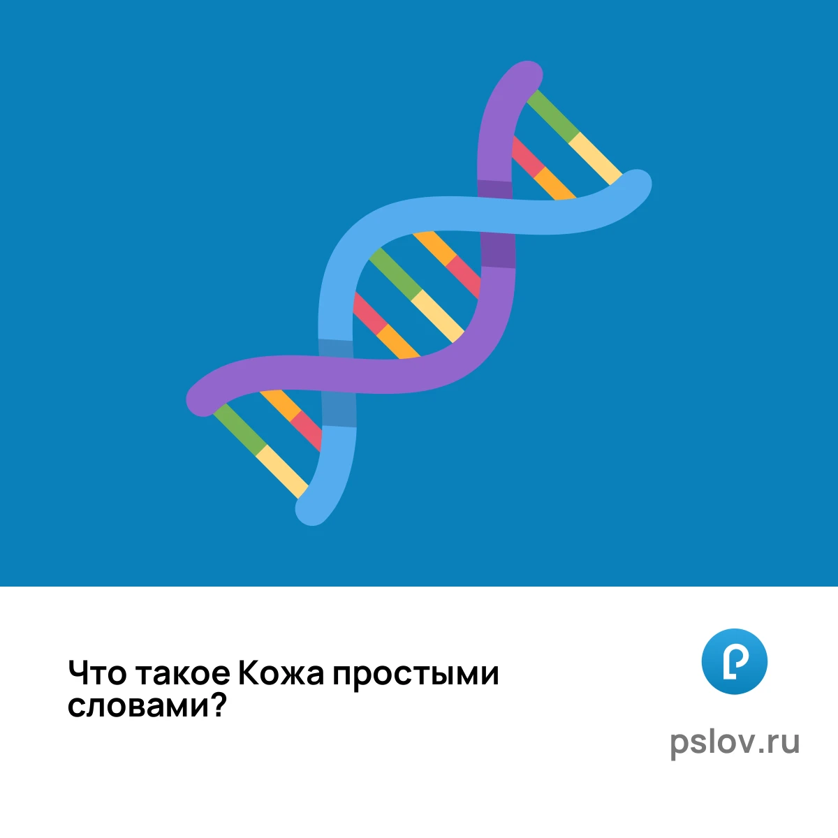 Что такое Кожа простыми словами - визуальное объяснение