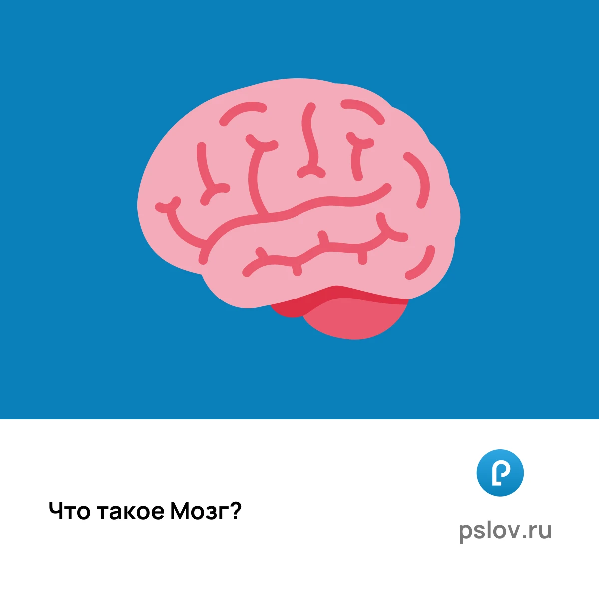 Что такое Мозг простыми словами - визуальное объяснение