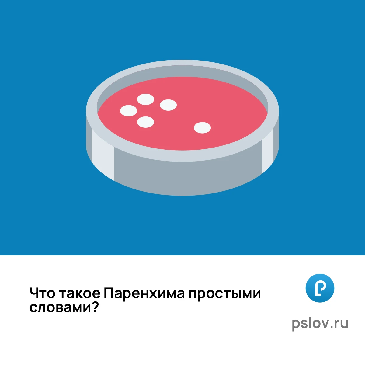 Что такое Паренхима простыми словами - визуальное объяснение