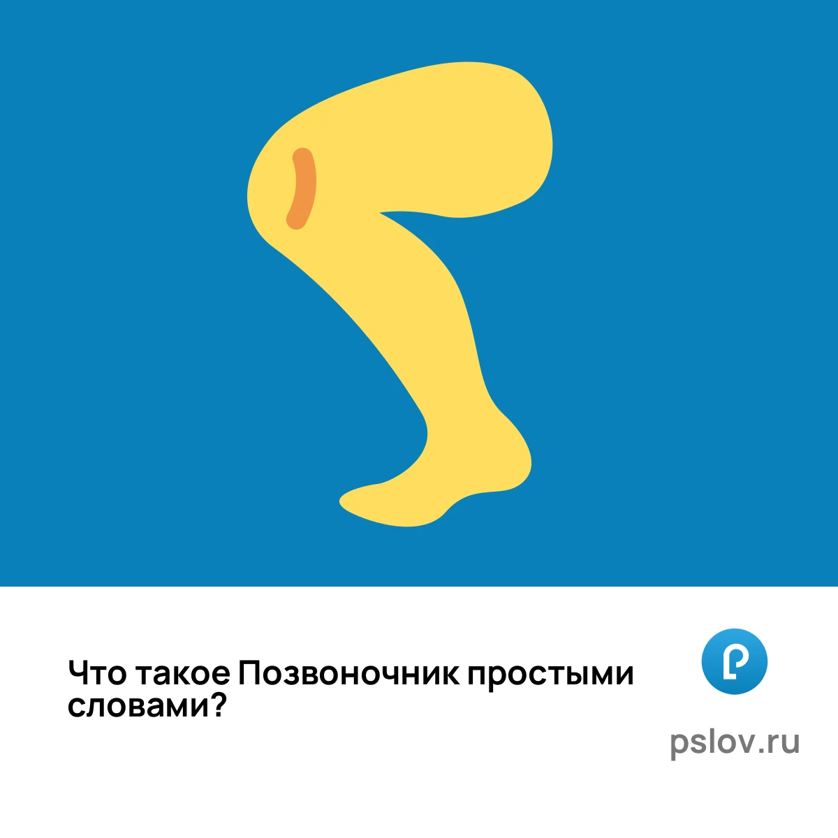 Что такое Позвоночник простыми словами - визуальное объяснение