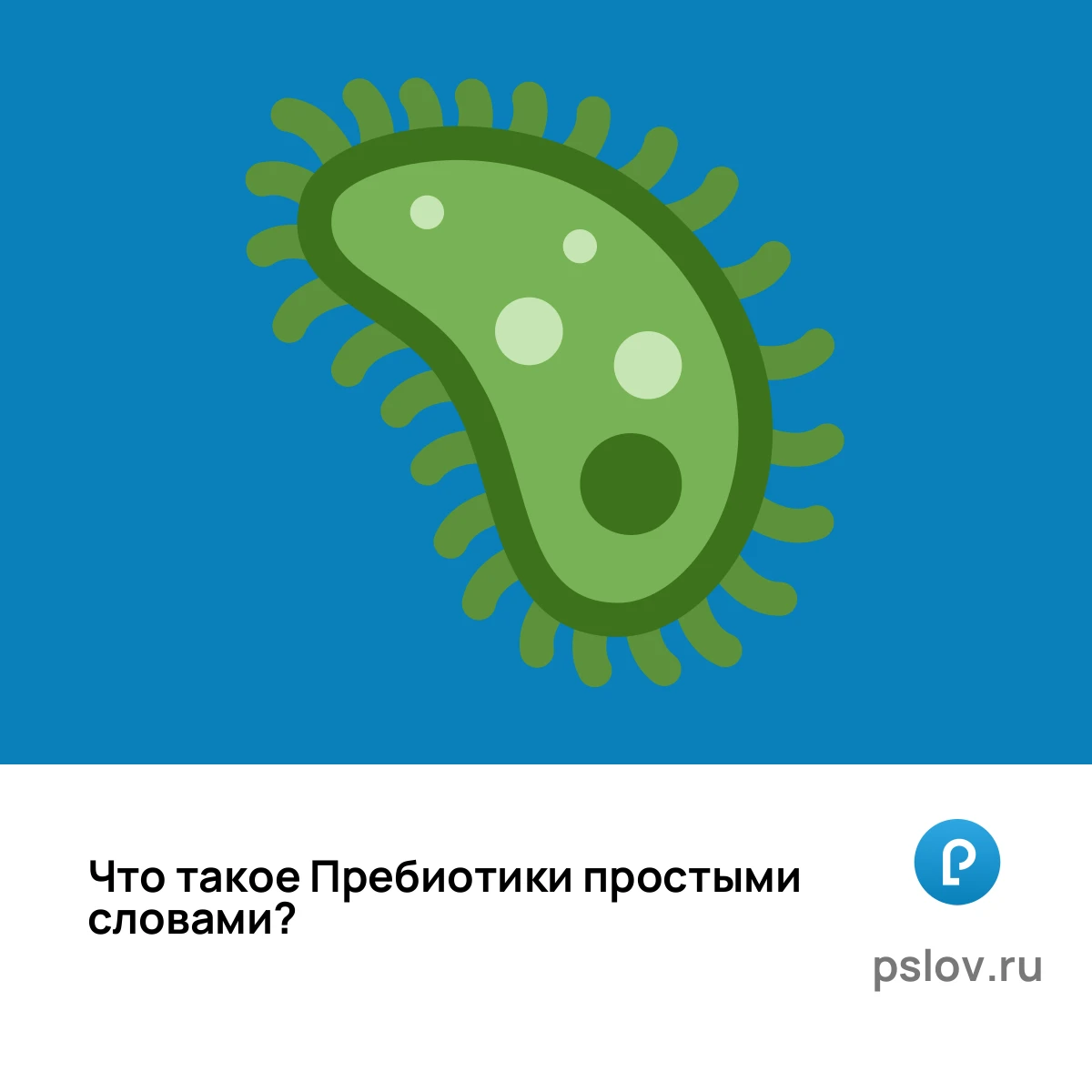 Что такое Пребиотики простыми словами - визуальное объяснение