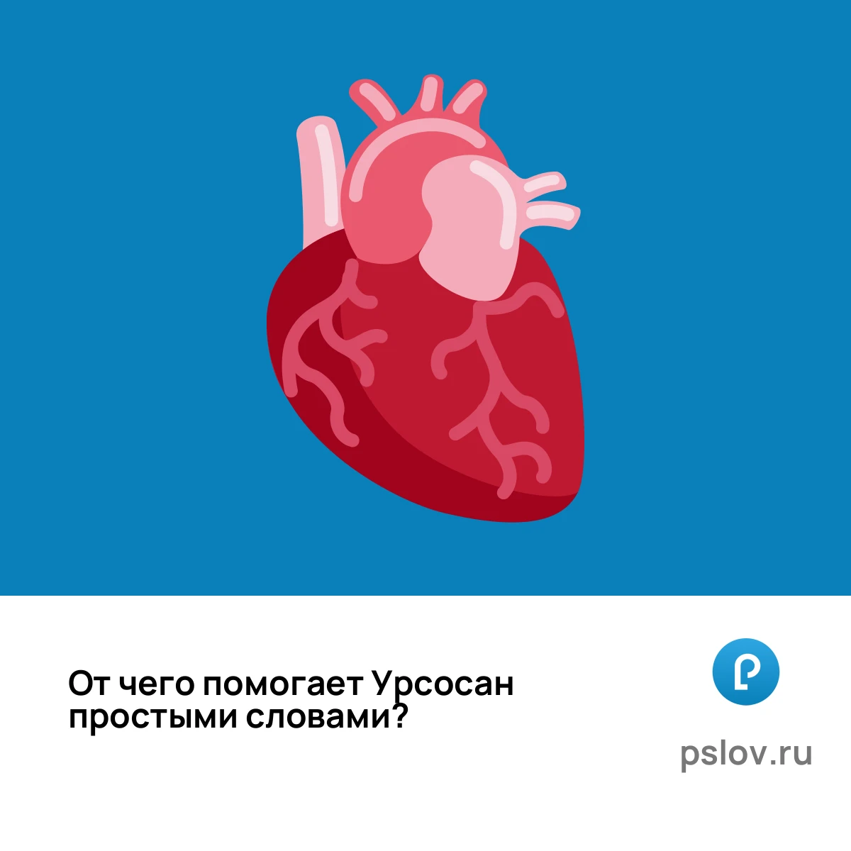 От чего помогает Урсосан простыми словами - визуальное объяснение