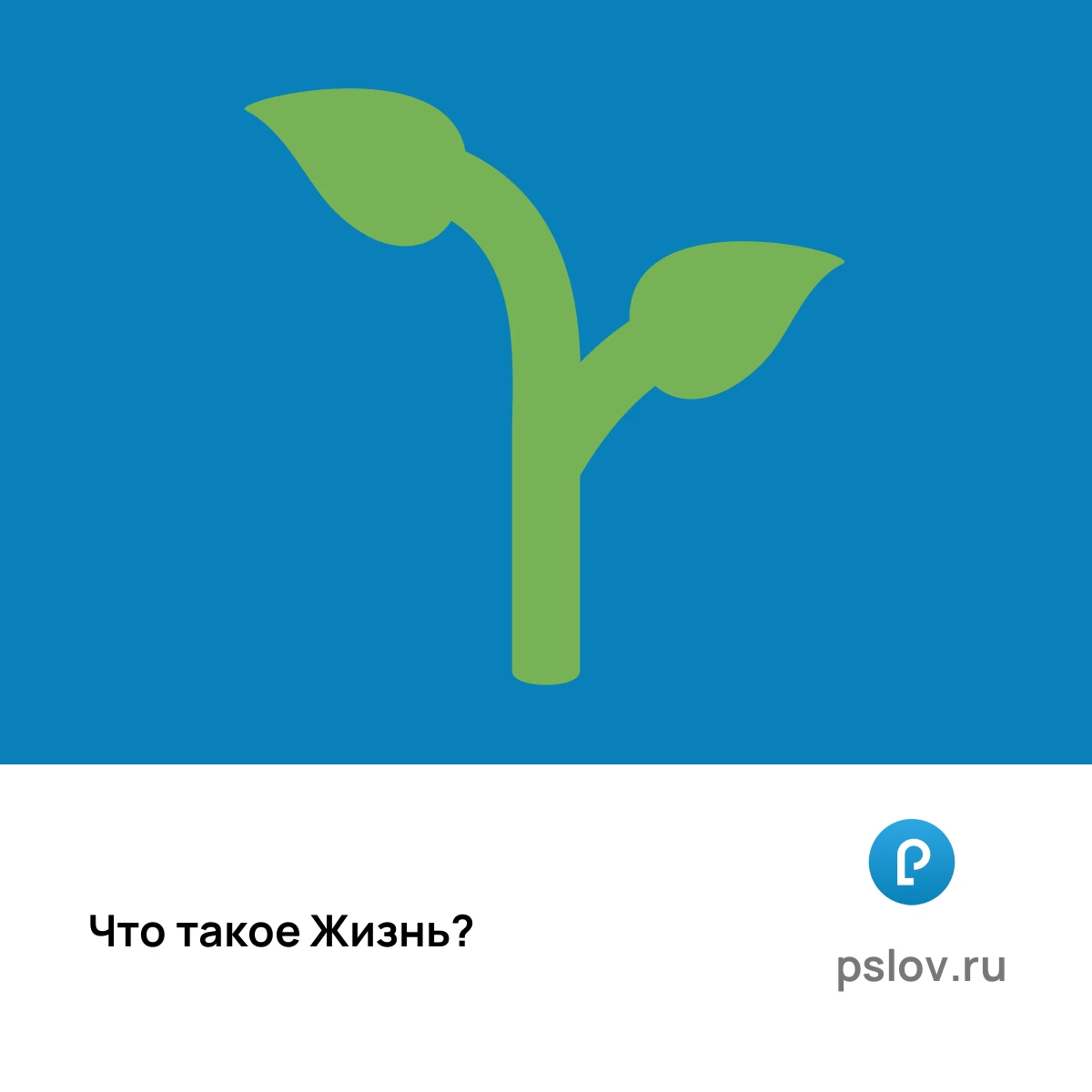 Что такое Жизнь простыми словами - визуальное объяснение